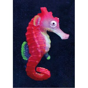 Amazonas Floating Seepferd