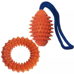 Aqua Boomer Wasserspielzeug zum werfen