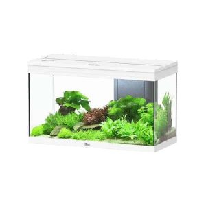 Aquatlantis Volga 125 Aquarium