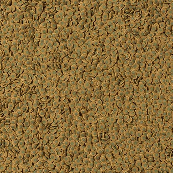 Tetra Pleco Veggie Wafers für Wels Bodenfische – Bild 2