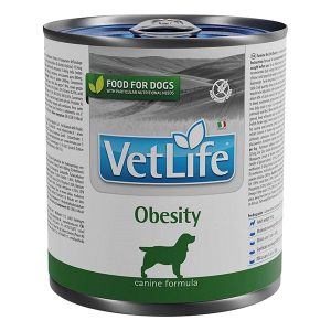 Hundefutter Vet Life Diet Obesity 300g