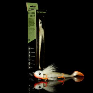 Blackbay Black Bug Beetle