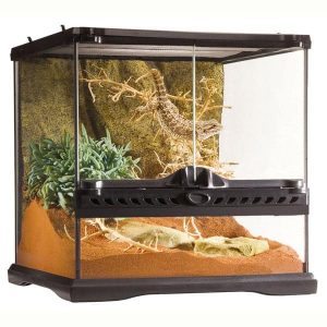 Exo Terra Terrarium 30x30x30 cm Mini