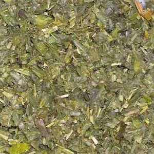 Griechisches Eisenkraut / Griechischer Bergtee / Berufskraut