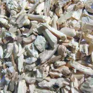 Hortensienwurzel geschnitten