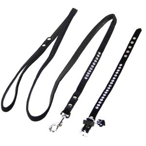 Hundeleine und Halsband mit Strass Steine Azure