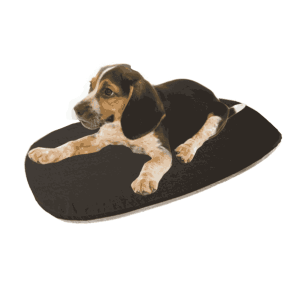 Hundekissen Siesta Deluxe