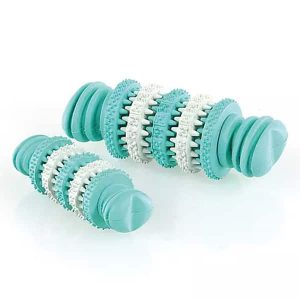 Hundespielzeuge Dental-Bone Mint