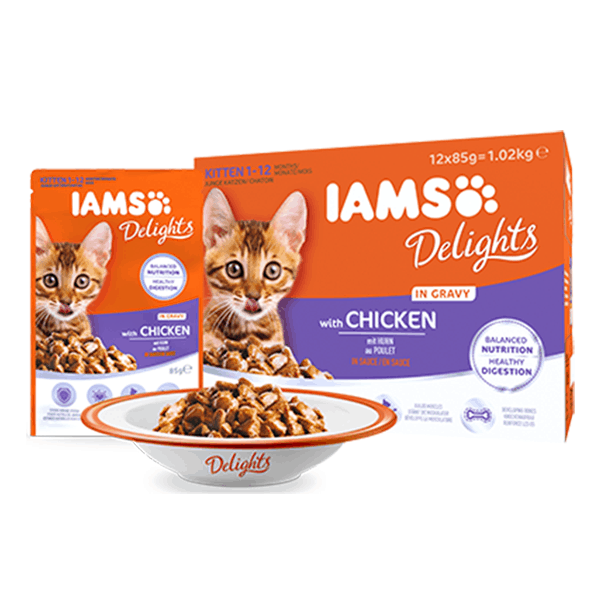 IAMS Delights Kitten Katzenfutter mit Huhn