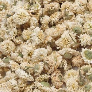 Kamillenblüten römisch ganz