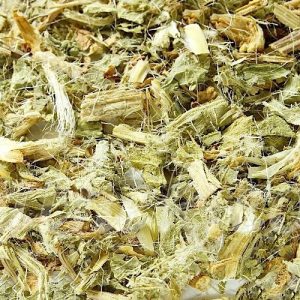 Kardobenediktenkraut / Benediktenkraut geschnitten