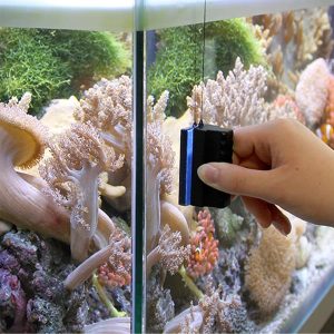 Marina Aquarium Magnet Scheibenreiniger