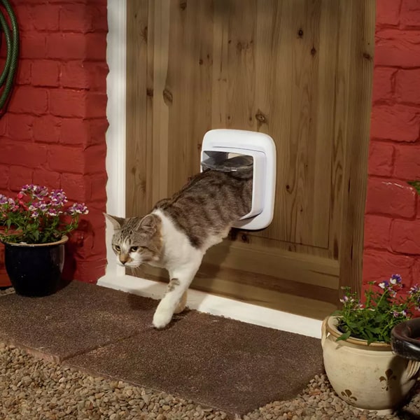 Petsafe Mikrochip Katzenklappe – Bild 5