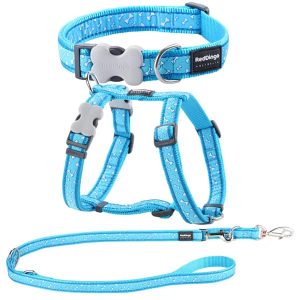 Halsband Leine und Geschirr für Hunde Flying Bones Türkis