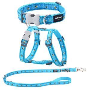 Halsband Leine und Geschirr für Hunde Bumble Bee Turquoise