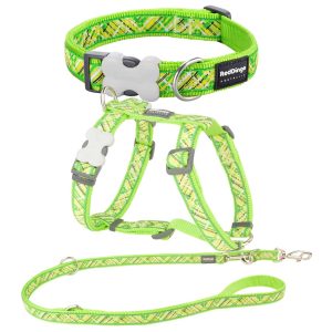 Red Dingo Geschirr, Halsband & Leine – Lime grün