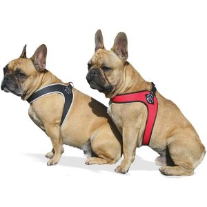 Reflektierendes Geschirr für Hunde Tre Ponti