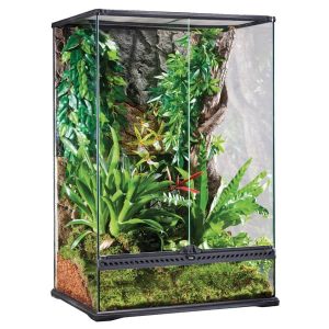 Exo Terra Terrarium Medium aus Glas